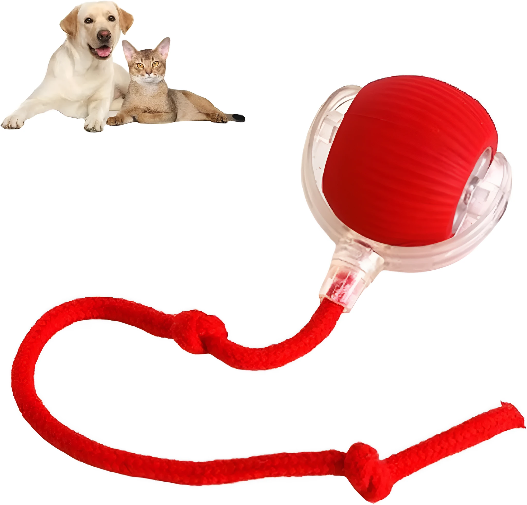 Grey automatic rolling ball toy for dogs and cats with attached rope, showing 6.5cm diameter