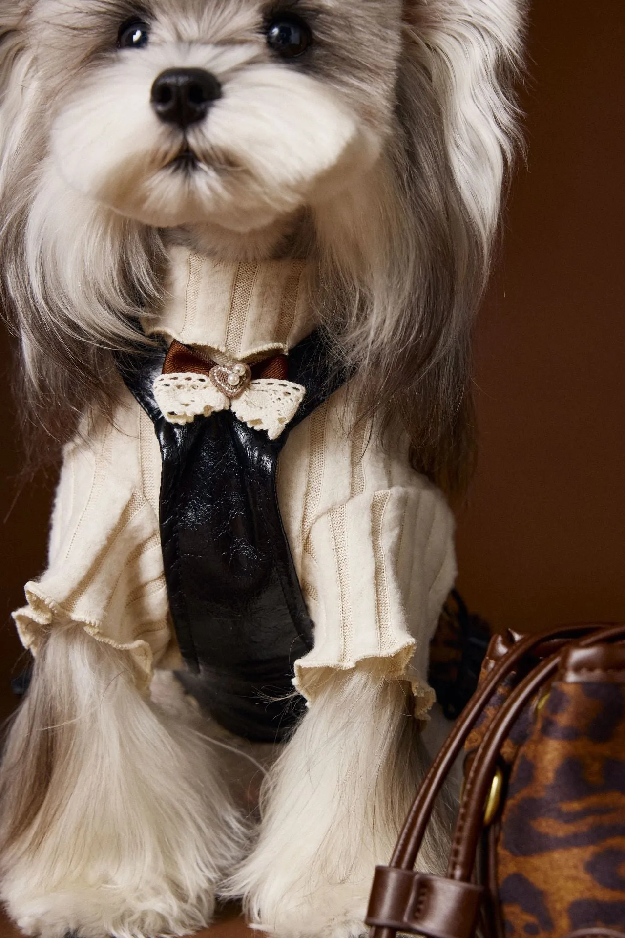 Small dog wearing a casual lace bow bottoming shirt in beige colour, side view