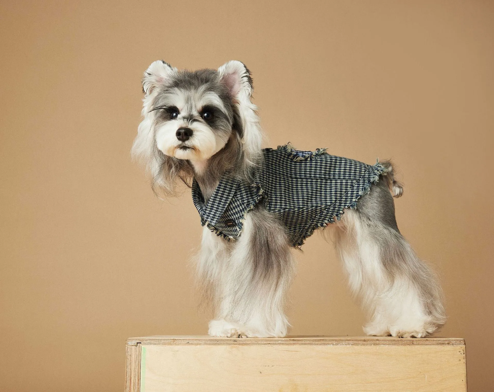 Blue washed old plaid sleeveless denim vest for dogs cotton casual pet clothing