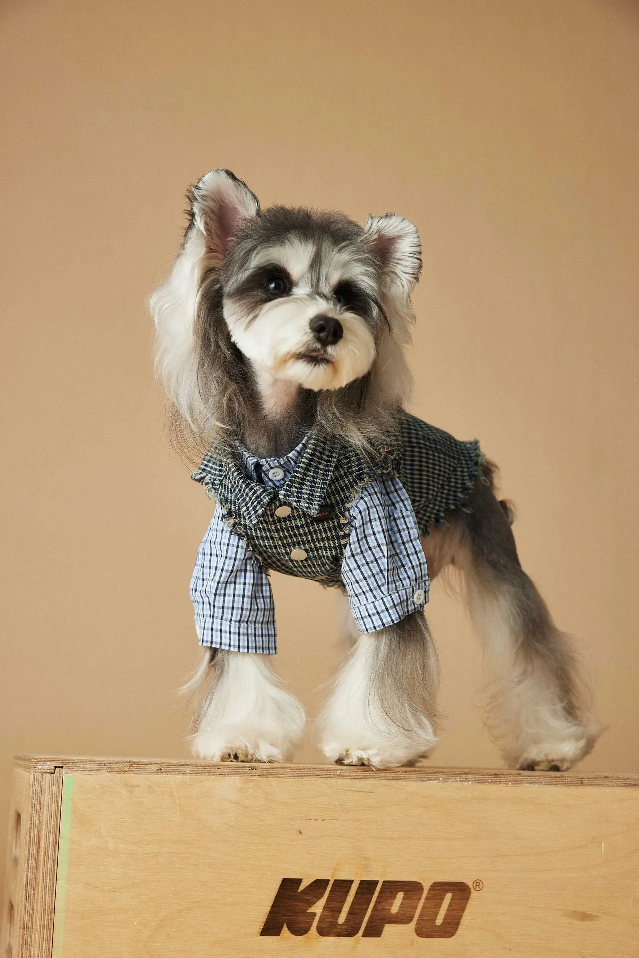 Blue washed old plaid sleeveless denim vest for dogs cotton casual pet clothing