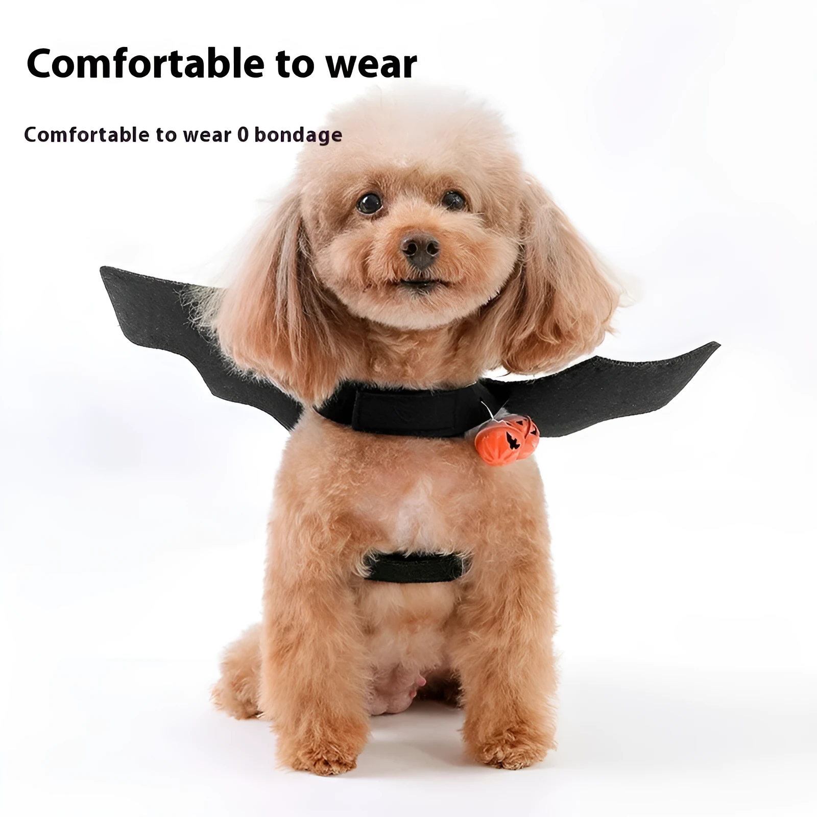 Black wings Halloween felt costume for a dog or cat, shown with a bell accessory.