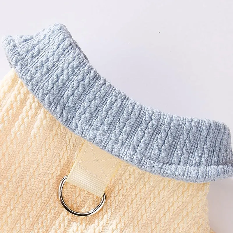Yellow colour-block knit dog coat with bow tie collar on a small dog, suitable for autumn winter wear