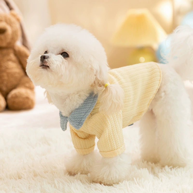 Yellow colour-block knit dog coat with bow tie collar on a small dog, suitable for autumn winter wear