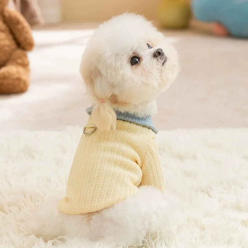 Yellow colour-block knit dog coat with bow tie collar on a small dog, suitable for autumn winter wear