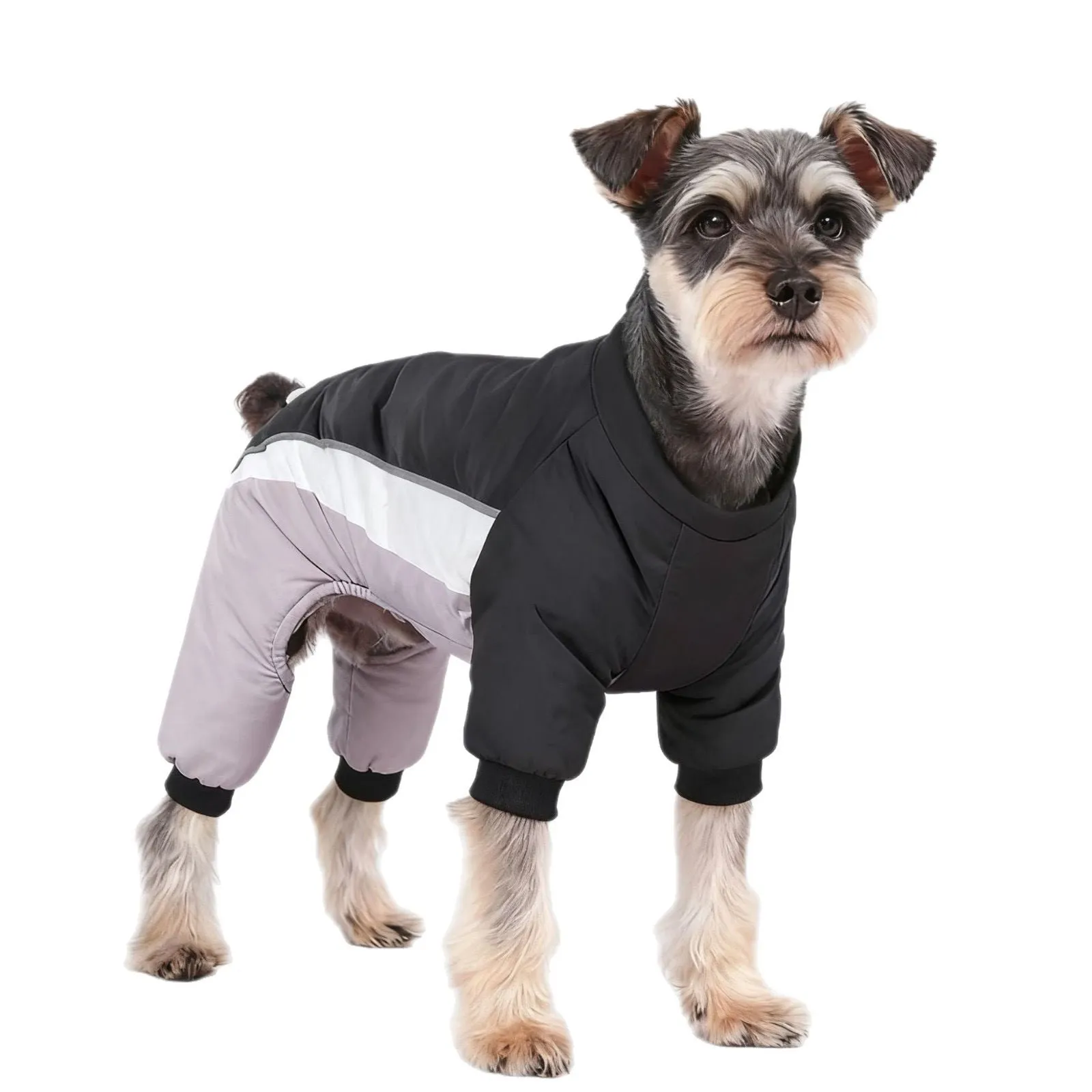 Fleece-lined waterproof four-legged pet clothing for dogs in cold weather traction coat six sizes four colours