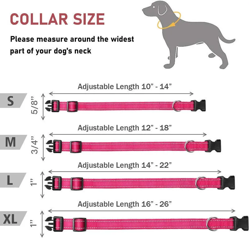 Adjustable nylon dog collar with chest strap in multiple colour options