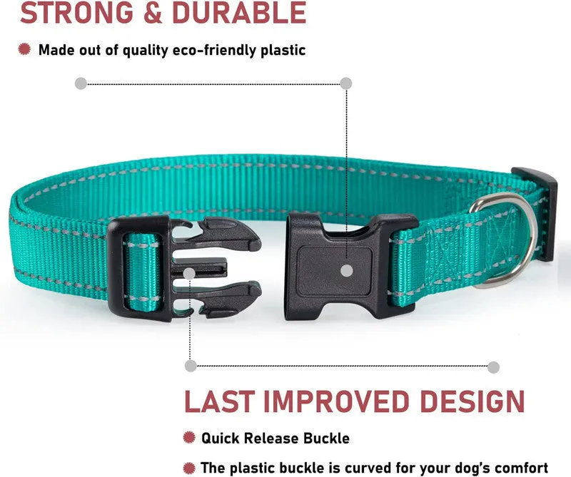 Adjustable nylon dog collar with chest strap in multiple colour options