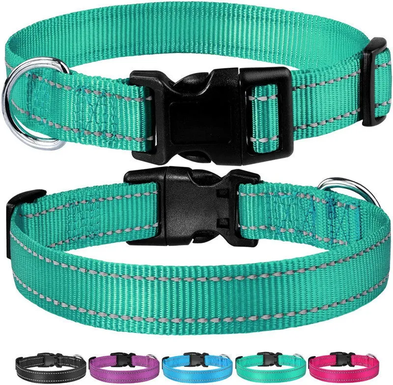 Adjustable nylon dog collar with chest strap in multiple colour options