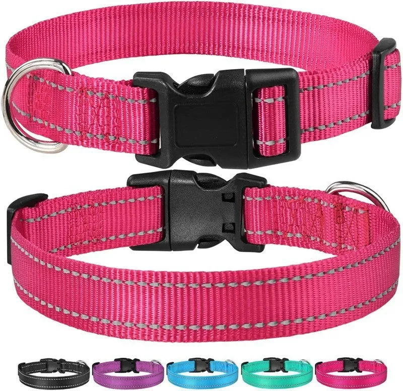 Adjustable nylon dog collar with chest strap in multiple colour options