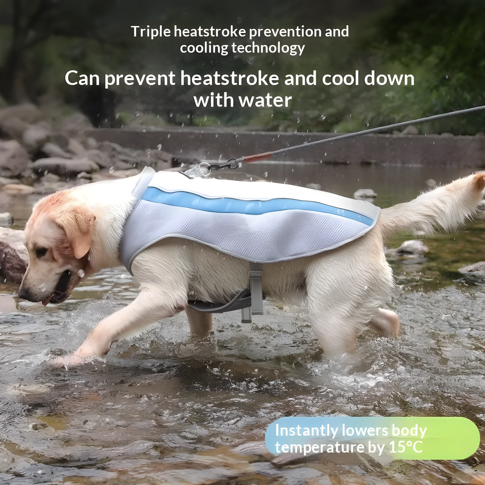 Cooling vest for medium and large dogs in blue, green, and orange mesh, sizes 3XL to 6XL