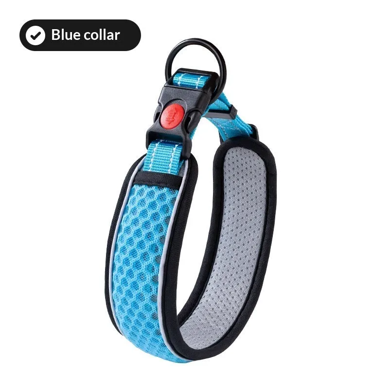 Colourful acrylic dog collar in blue, orange, and red with size options XS to L