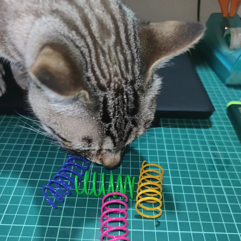 Colourful plastic coil spring cat toys shown in a mixed group, each measuring 5.5 cm long.