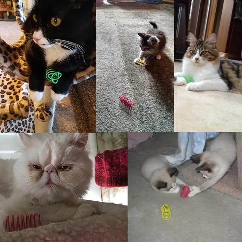 Colourful plastic coil spring cat toys shown in a mixed group, each measuring 5.5 cm long.
