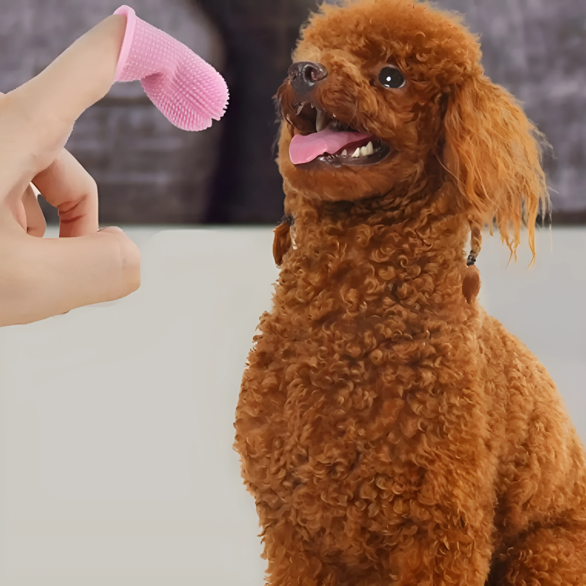 360-degree silicone finger toothbrush for dogs and cats in blue with soft bristles on a white background