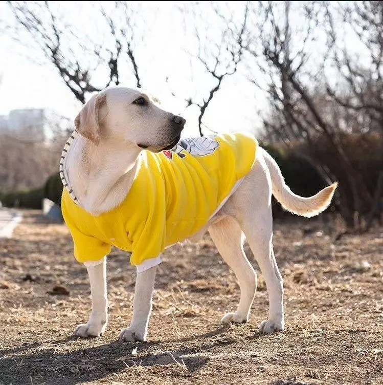 Dog wearing a polyester two-legged sweatshirt in blue, with back length and chest size measurements visible.