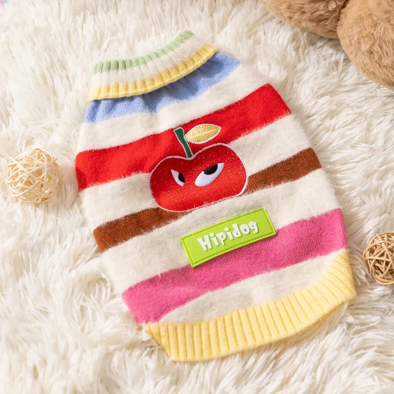 Corgi dog wearing a rainbow apple striped knitted pullover sweater in brown, standing on grass