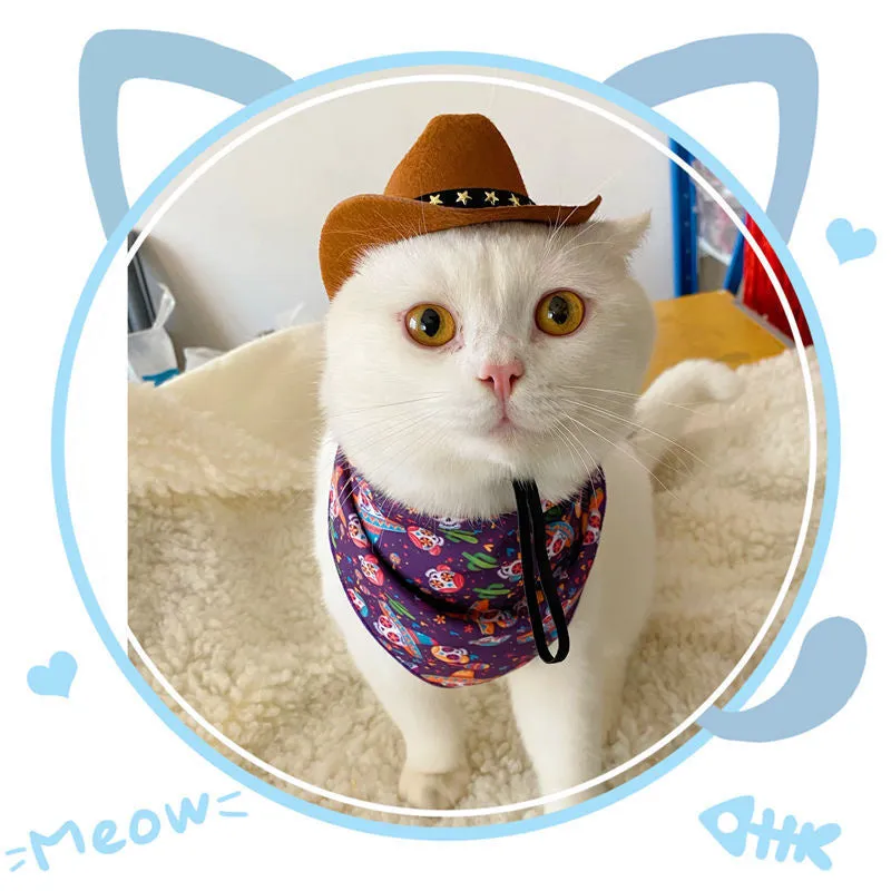 Black star pattern cowboy hat on pet with adjustable strap