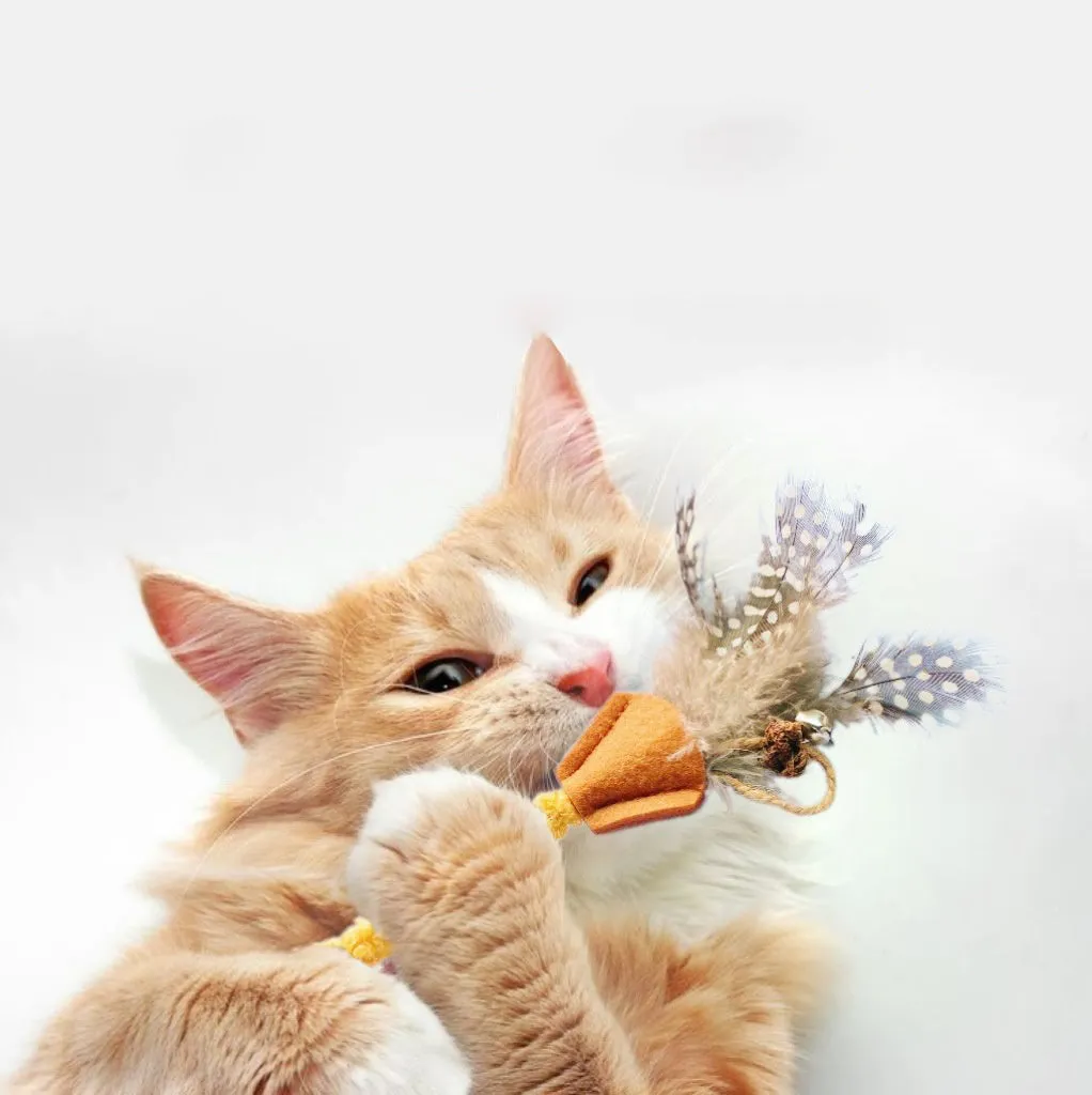Green polygonum wood feather stick cat toy with gall fruit accent on white background