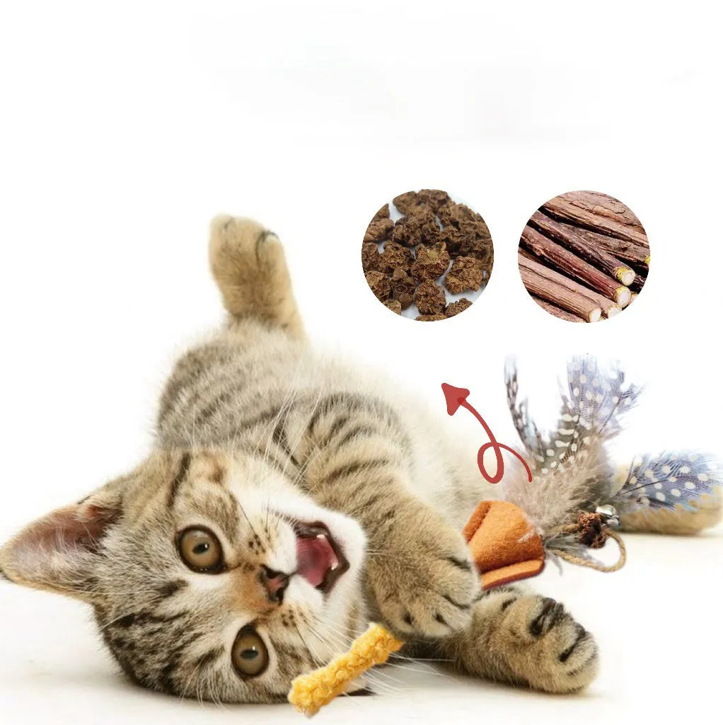 Green polygonum wood feather stick cat toy with gall fruit accent on white background