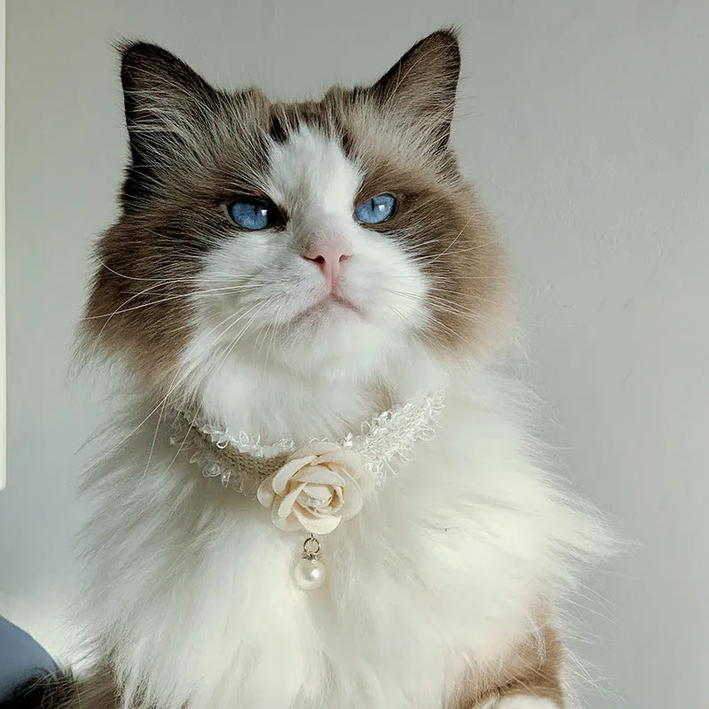 Magnolia flower scented pet collar accessory with chain in creamy white on a cat collar