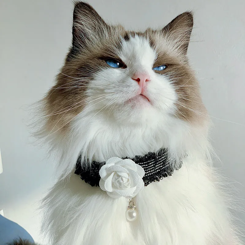 Magnolia flower scented pet collar accessory with chain in creamy white on a cat collar