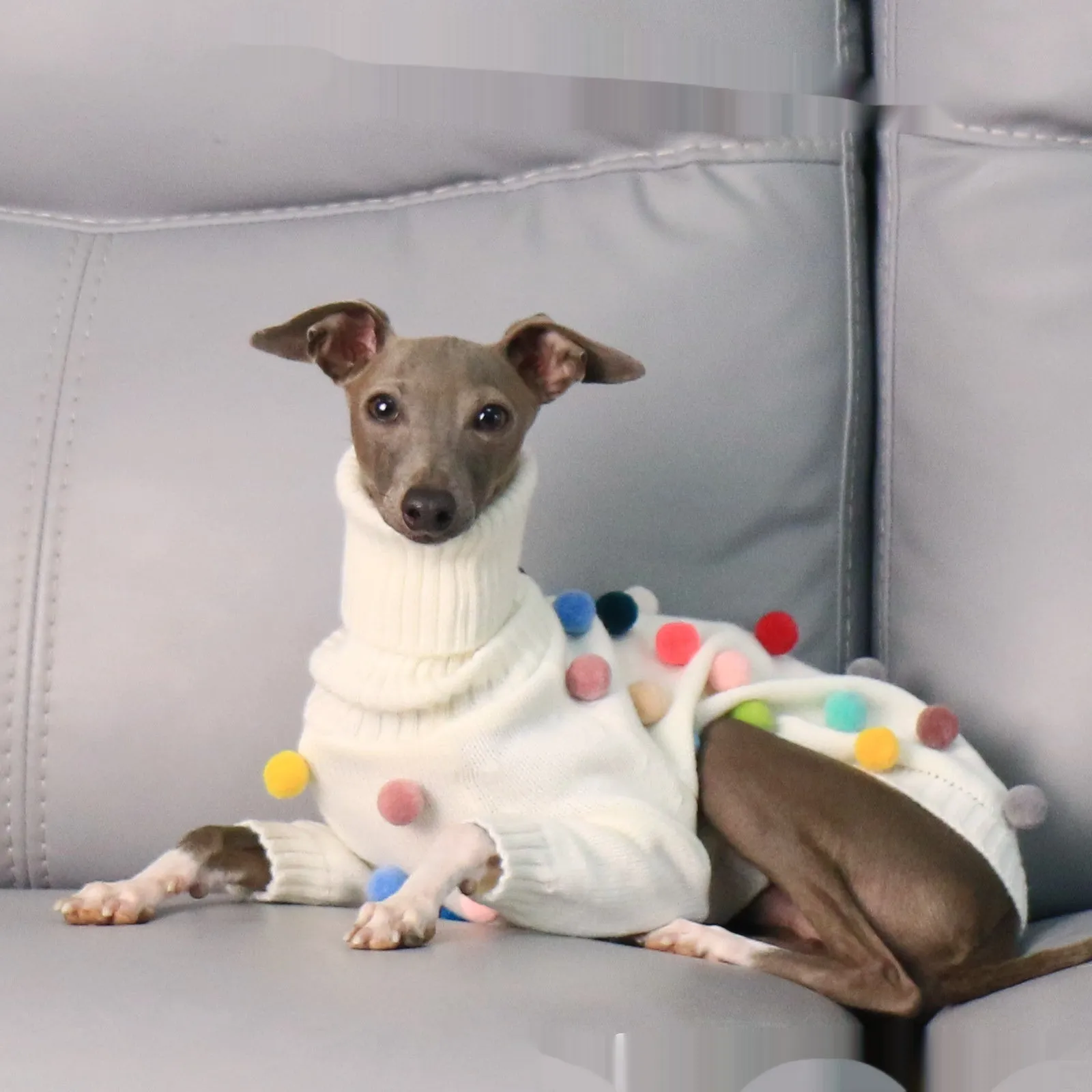 White pom pom Christmas sweater for Italian Greyhound or Whippet unisex acrylic pet clothing