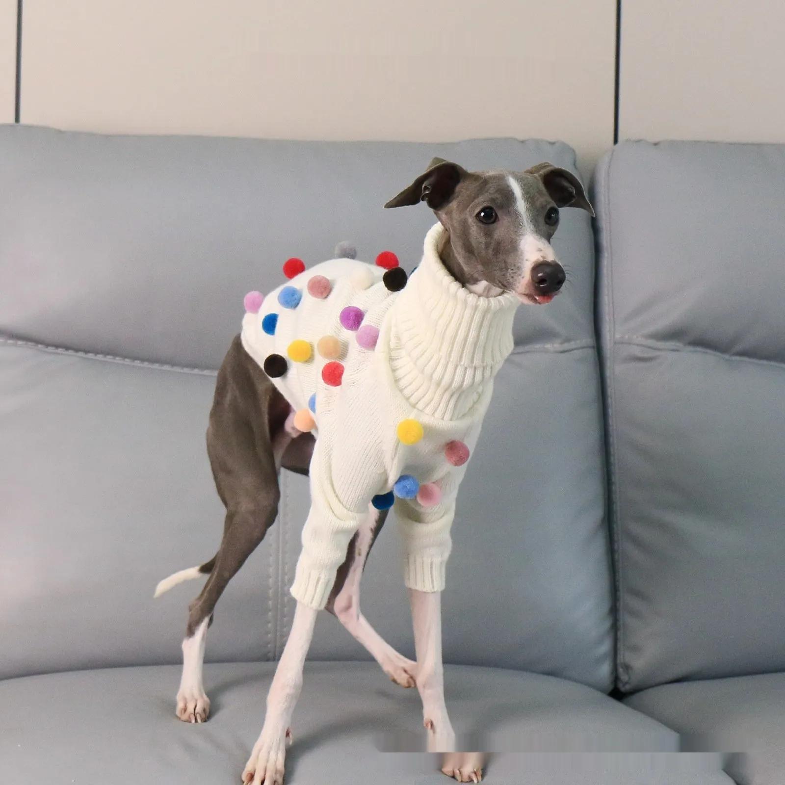 White pom pom Christmas sweater for Italian Greyhound or Whippet unisex acrylic pet clothing