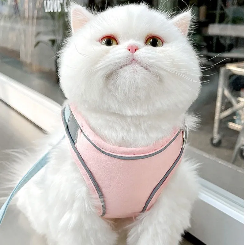 Blue and orange stitched suede cat vest harness with reflective chest strip and attached hand holding rope.