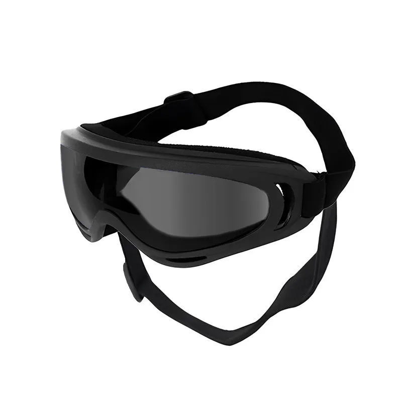 Dog wearing windproof plastic glasses with a coloured lens, showing PVC frame and casual style for outdoor use