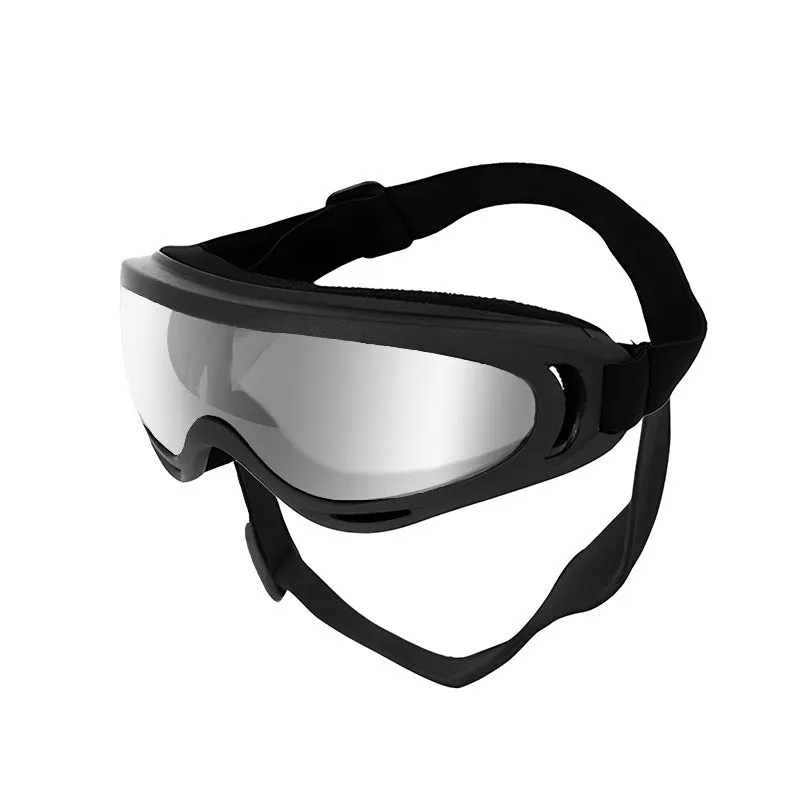 Dog wearing windproof plastic glasses with a coloured lens, showing PVC frame and casual style for outdoor use