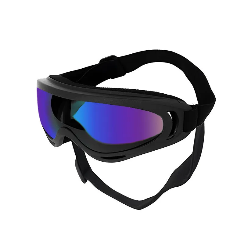 Dog wearing windproof plastic glasses with a coloured lens, showing PVC frame and casual style for outdoor use