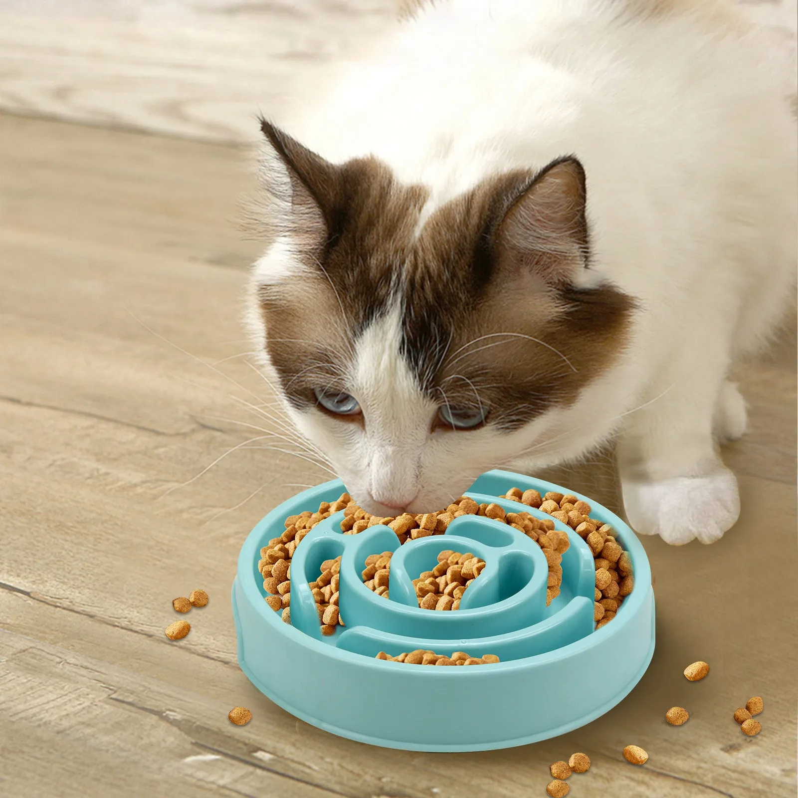 Silicone slow feeder dog bowl with labyrinth puzzle design in blue, green, and pink colours for safe eating