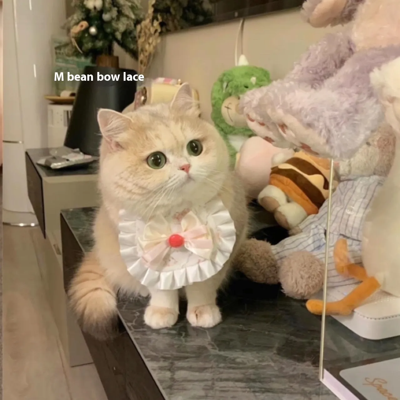Cartoon mohair pet saliva towel cat bib dog lace scarf in bear with hat design on small pet
