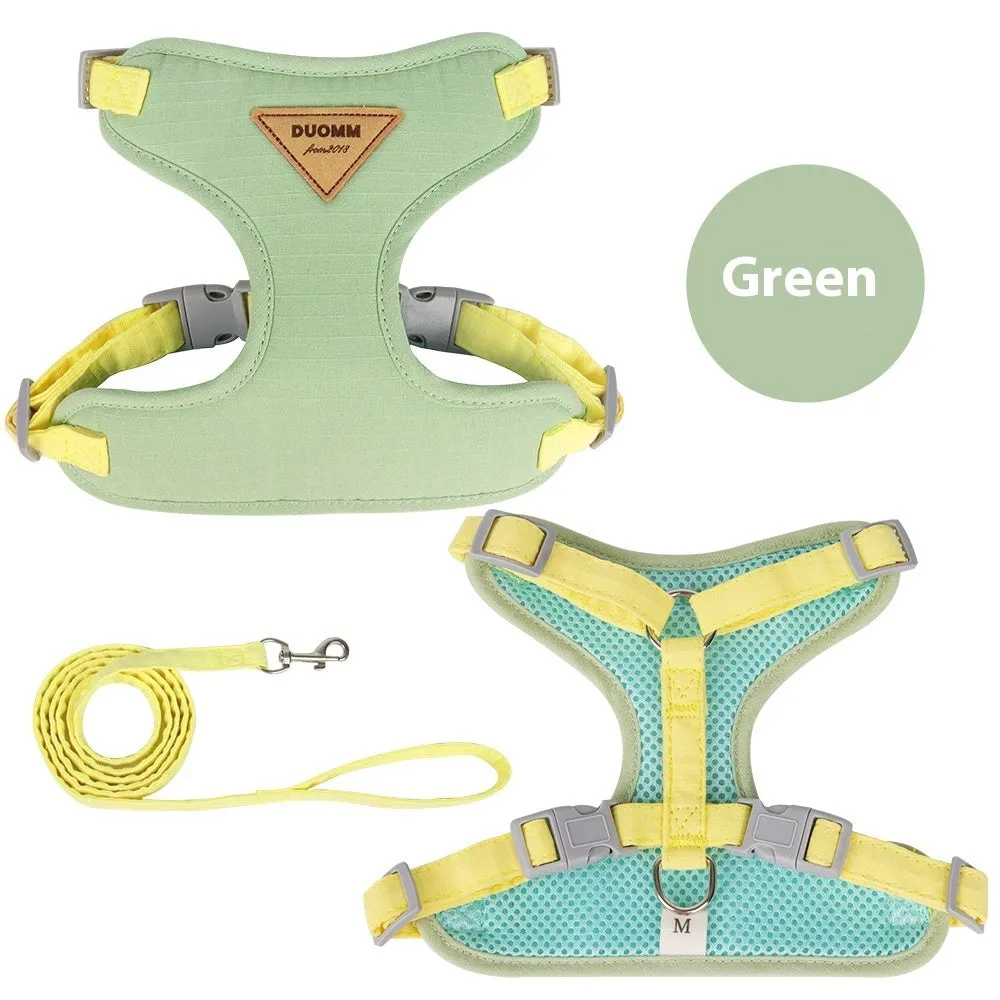 Cat chest harness and rope set in beige, sizes XS to L
