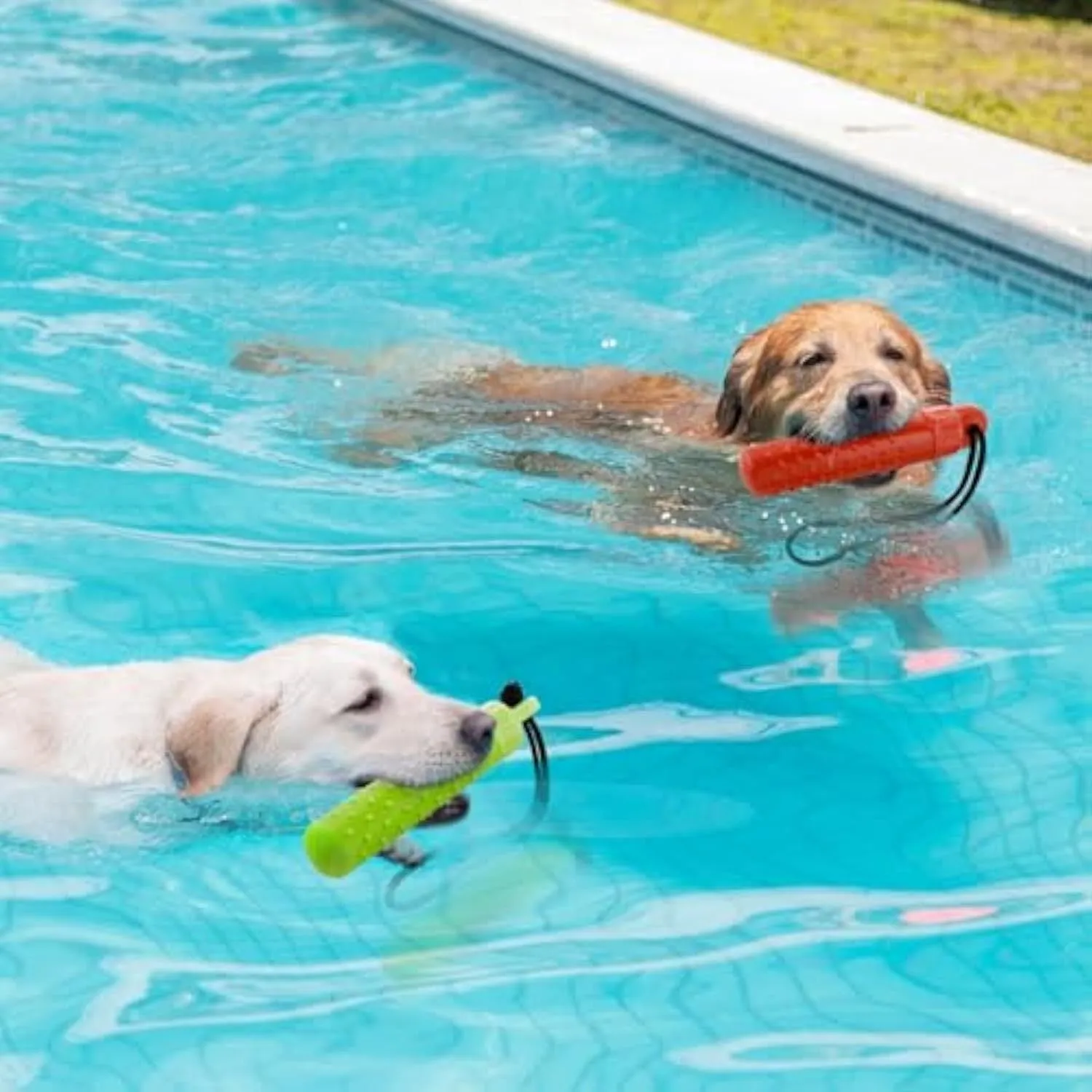 Two floating dog pool toys in red and green, TPR material with rope, 240x45mm, floating on water