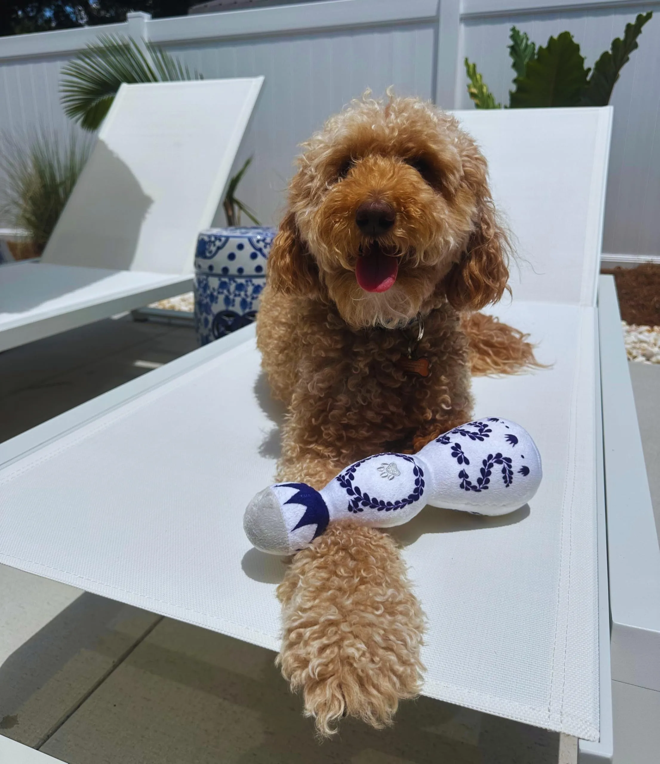Red and white tequila bottle plush dog toy with squeaker for dogs of all sizes