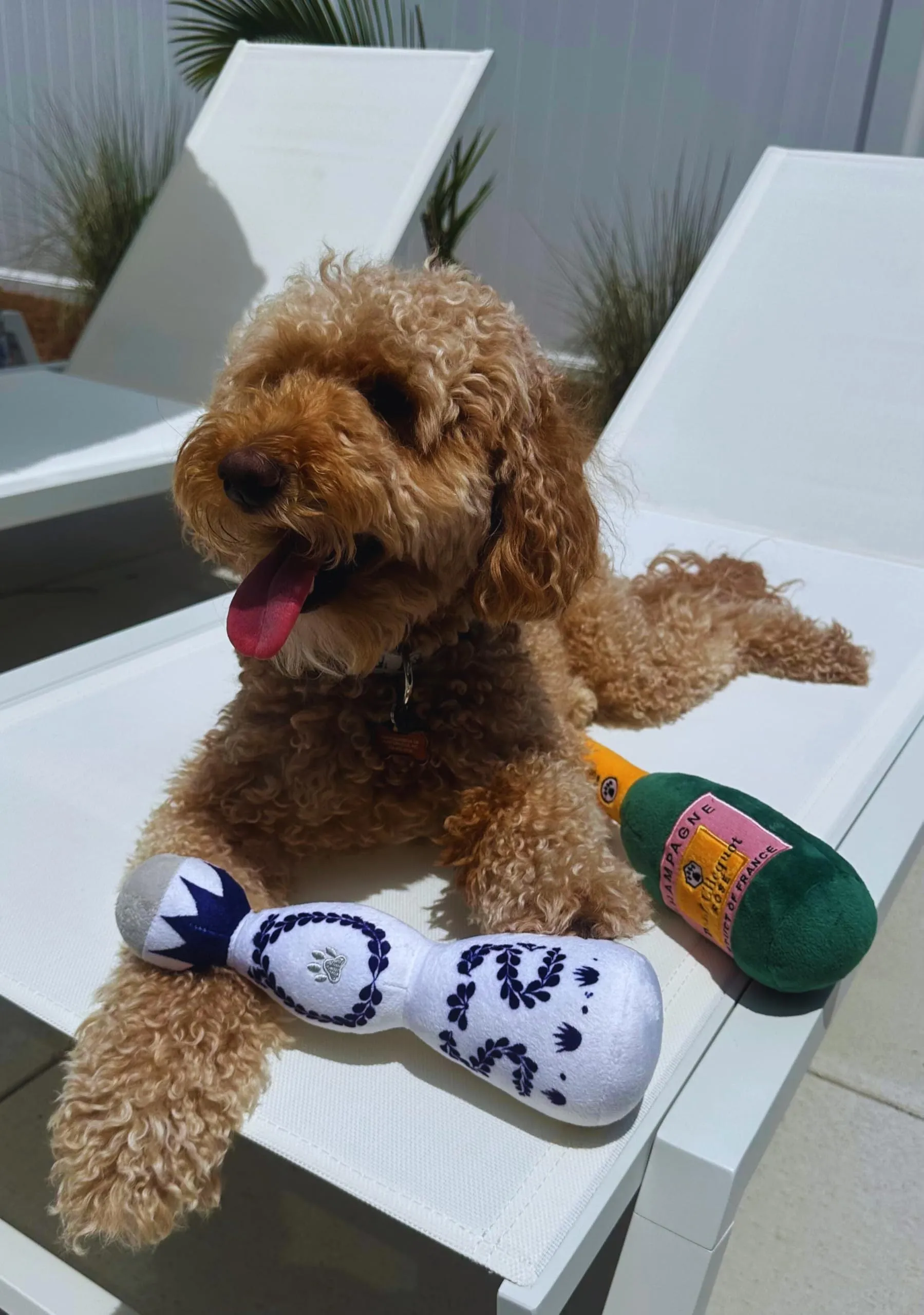 Red and white tequila bottle plush dog toy with squeaker for dogs of all sizes