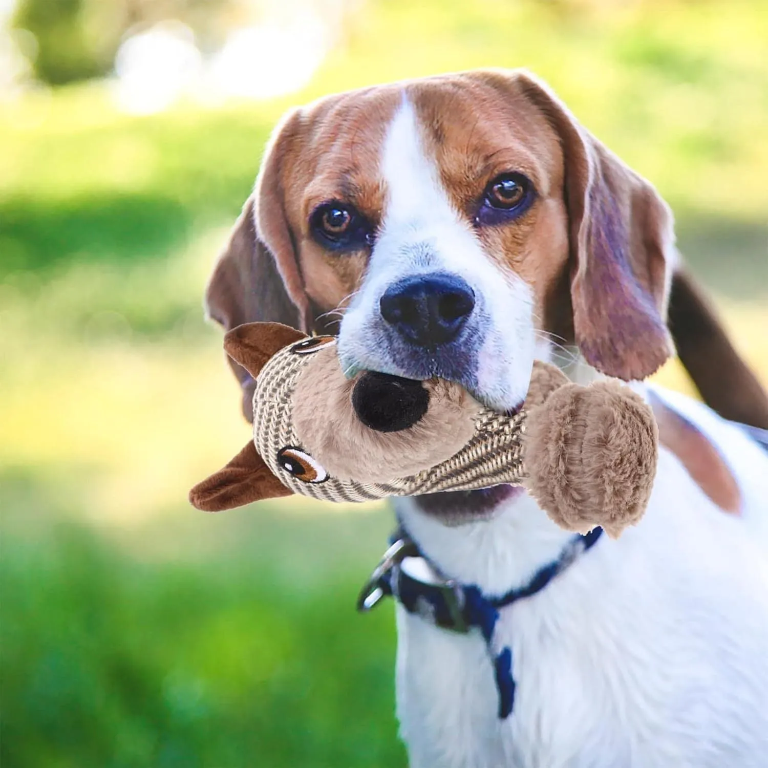 Soft plush dog squeaky toy in monkey and puppy designs for medium and large breed dogs.