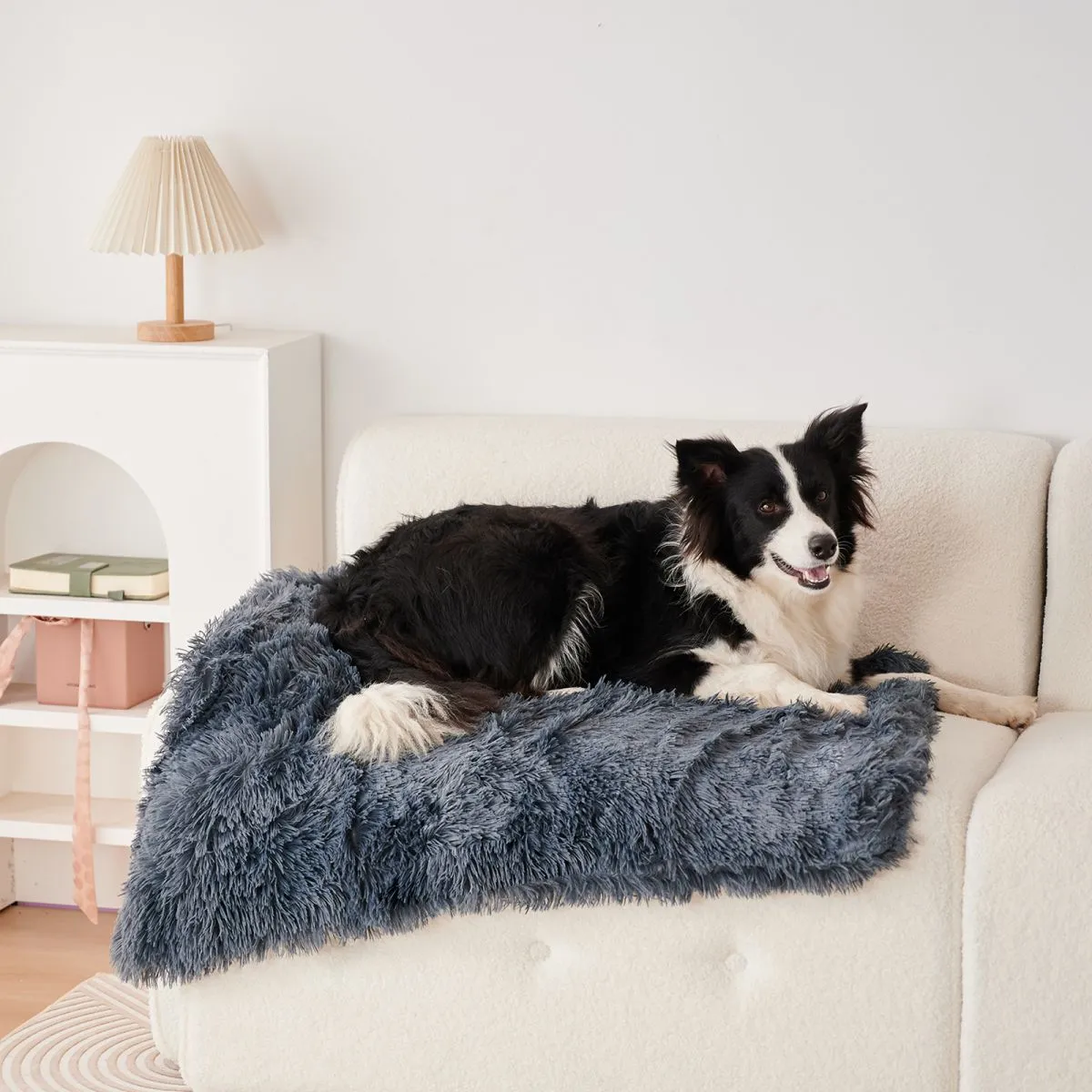 Light grey velvet plush pet blanket shown on a sofa, with a small dog lying on it.