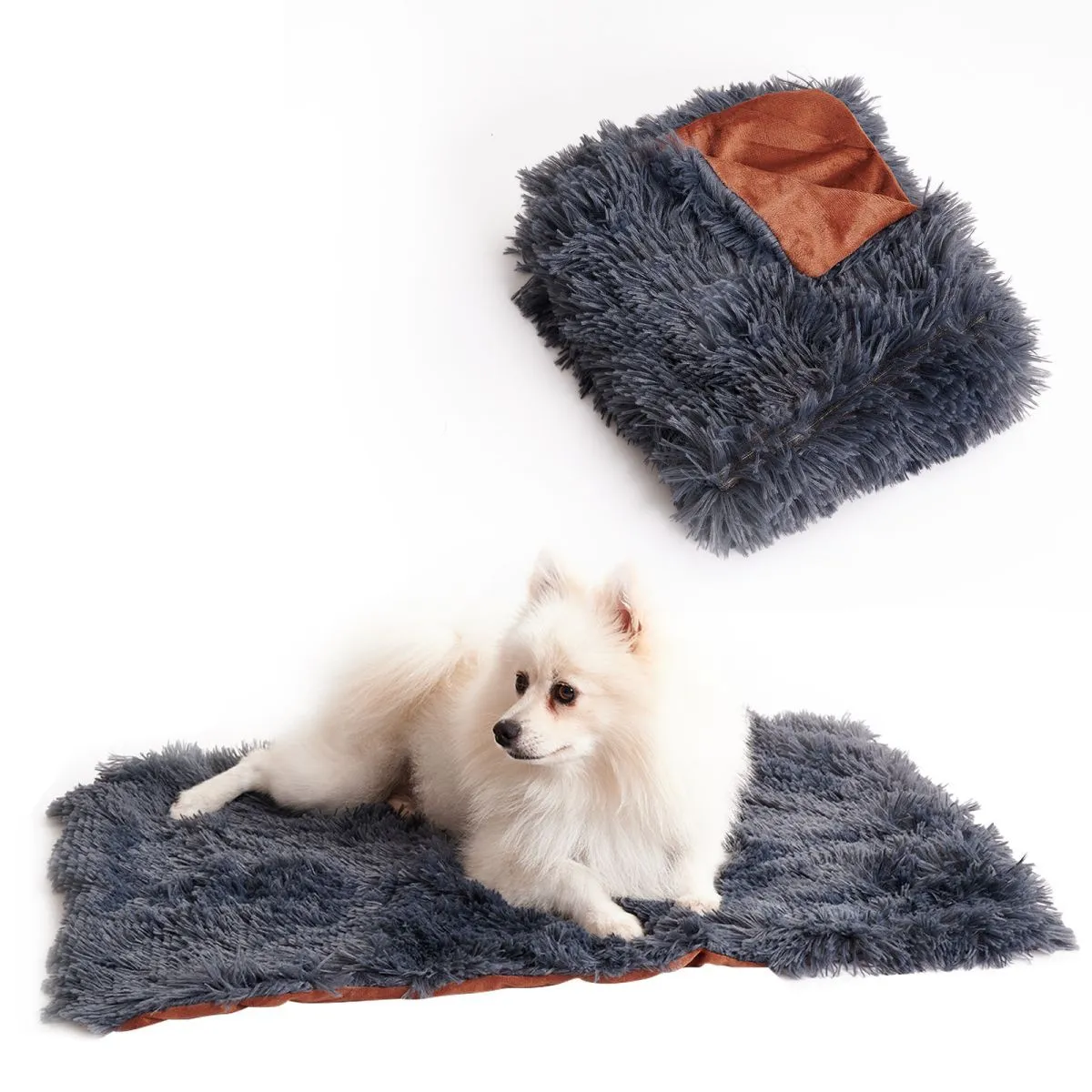 Light grey velvet plush pet blanket shown on a sofa, with a small dog lying on it.