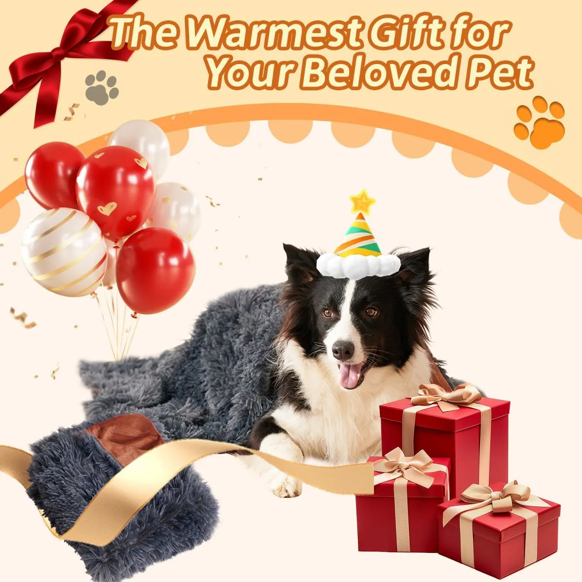 Light grey velvet plush pet blanket shown on a sofa, with a small dog lying on it.