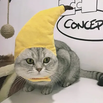 Embroidered cloth pet headgear with sunflower design for cat costume and dress-up occasions