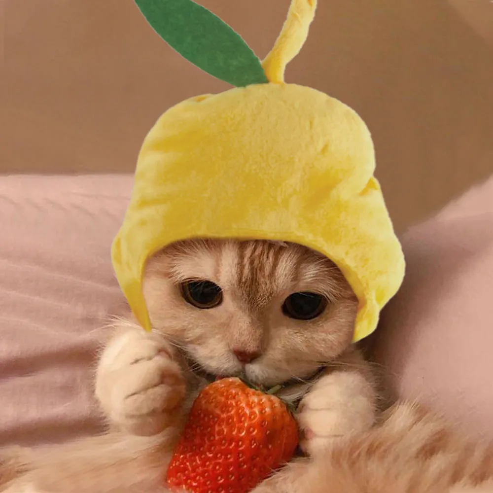 Embroidered cloth pet headgear with sunflower design for cat costume and dress-up occasions