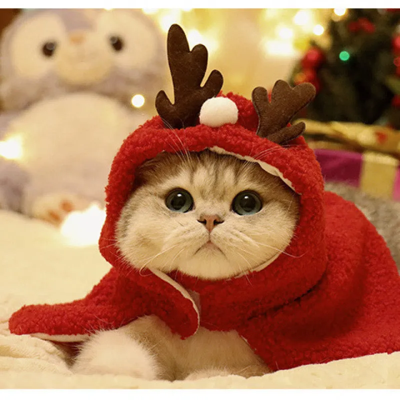Red antlers design polar fleece cloak on a small dog for winter wear.