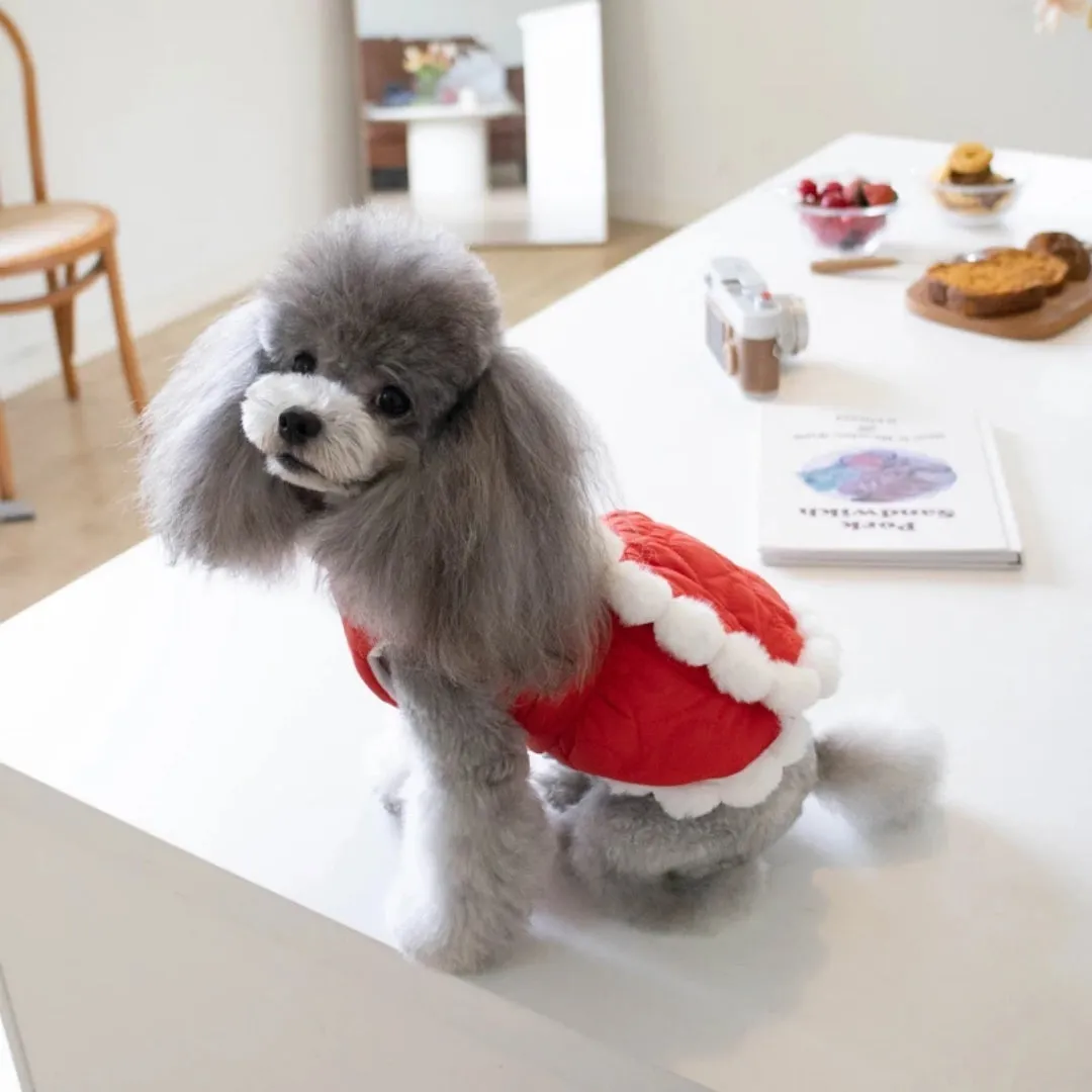 Red Chinese-style pet clothing with thick fur collar and knot detailing for dogs and cats
