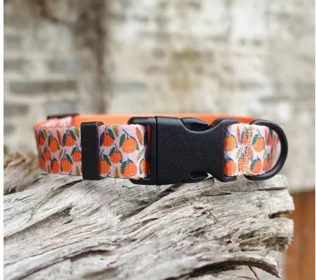 Flower pattern nylon ribbon pet collar for dogs and cats shown in Hanada colour on size L.