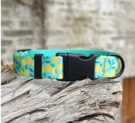 Flower pattern nylon ribbon pet collar for dogs and cats shown in Hanada colour on size L.