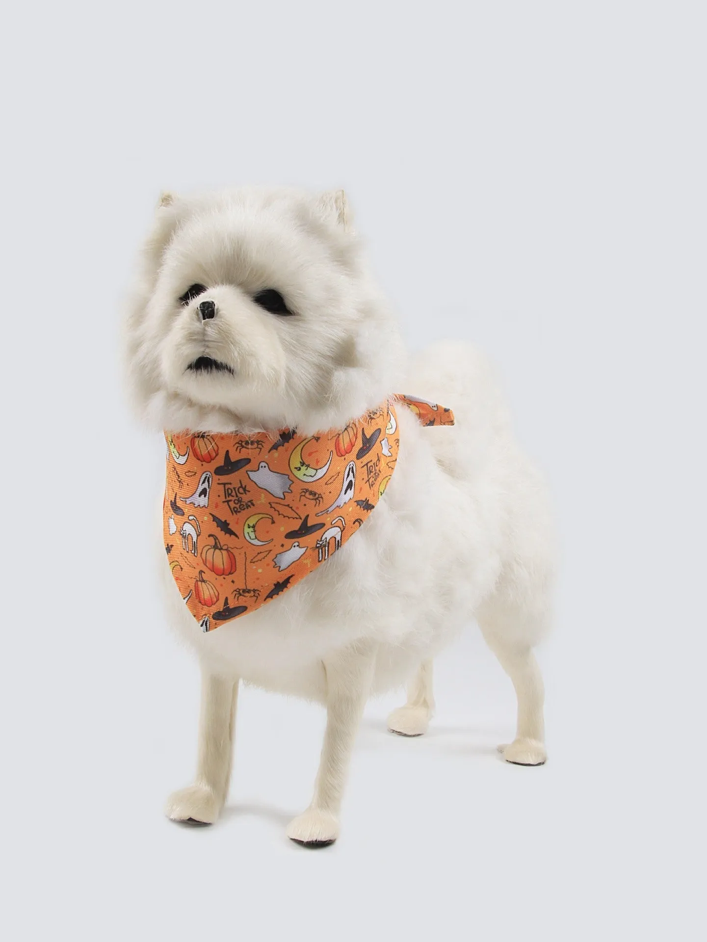 Wansheng fleece-lined dog sweater in an apricot colour with a matching triangular scarf, shown on a model dog.