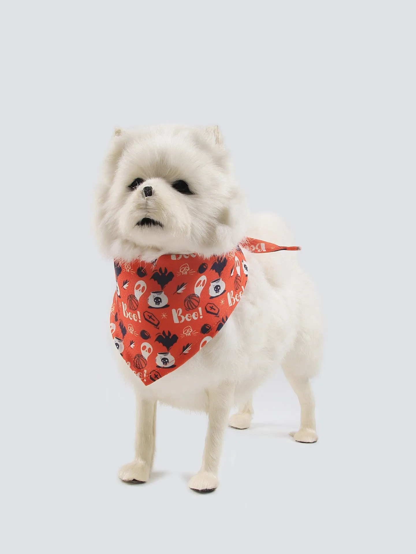 Wansheng fleece-lined dog sweater in an apricot colour with a matching triangular scarf, shown on a model dog.