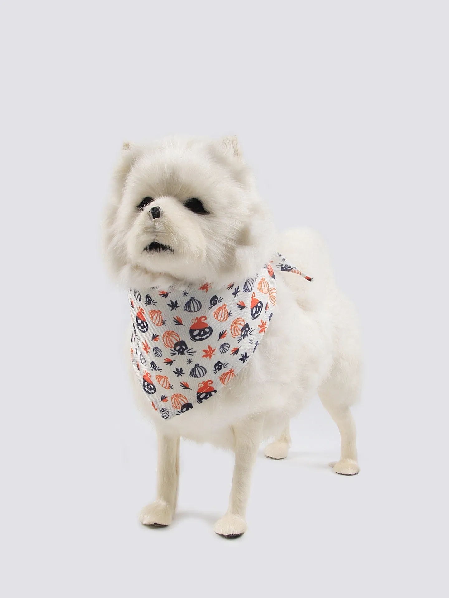 Wansheng fleece-lined dog sweater in an apricot colour with a matching triangular scarf, shown on a model dog.